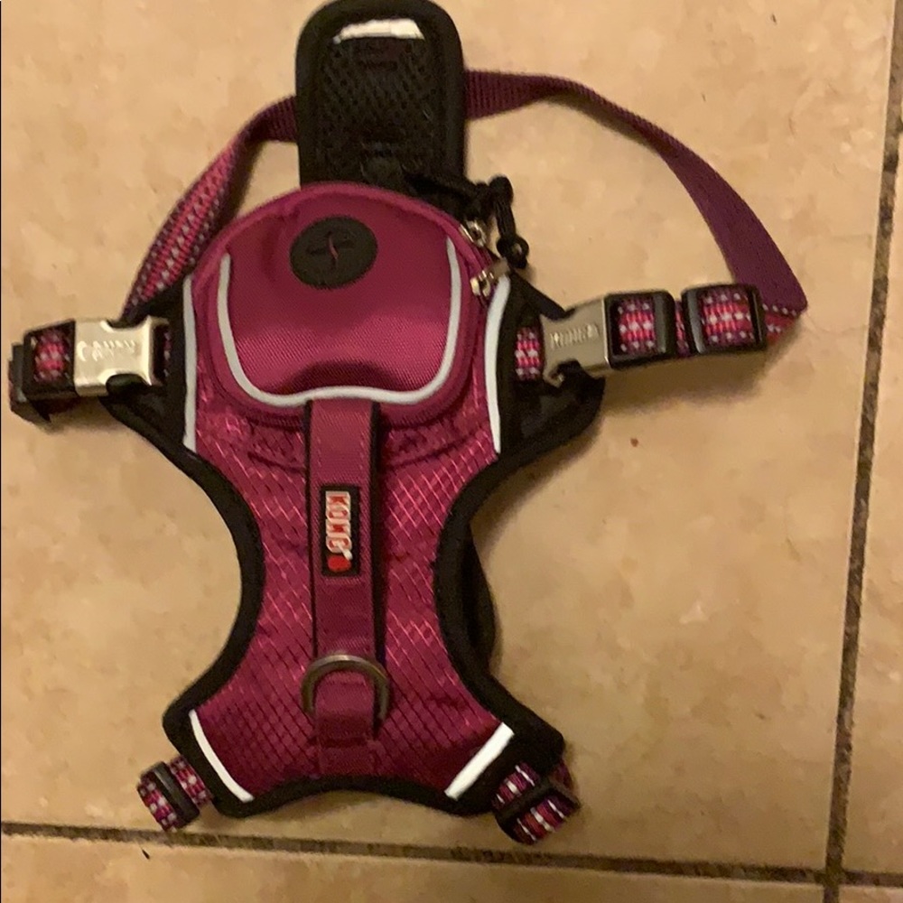 Dog walking harness